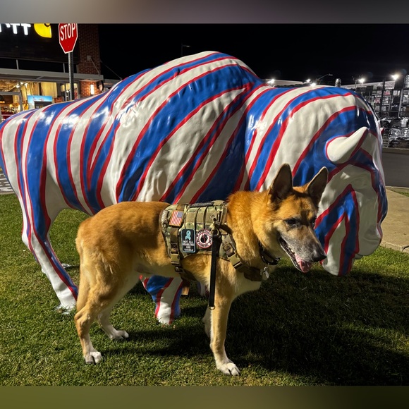 THANK YOU_ Rest in peace my love - Picture 2 of 12